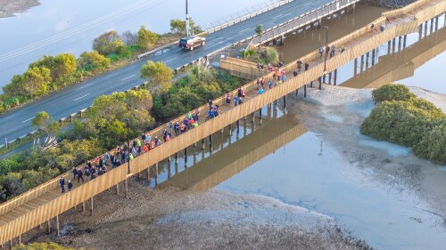 Te Ara o Te Whai - Mangawhai boardwalk opens to public